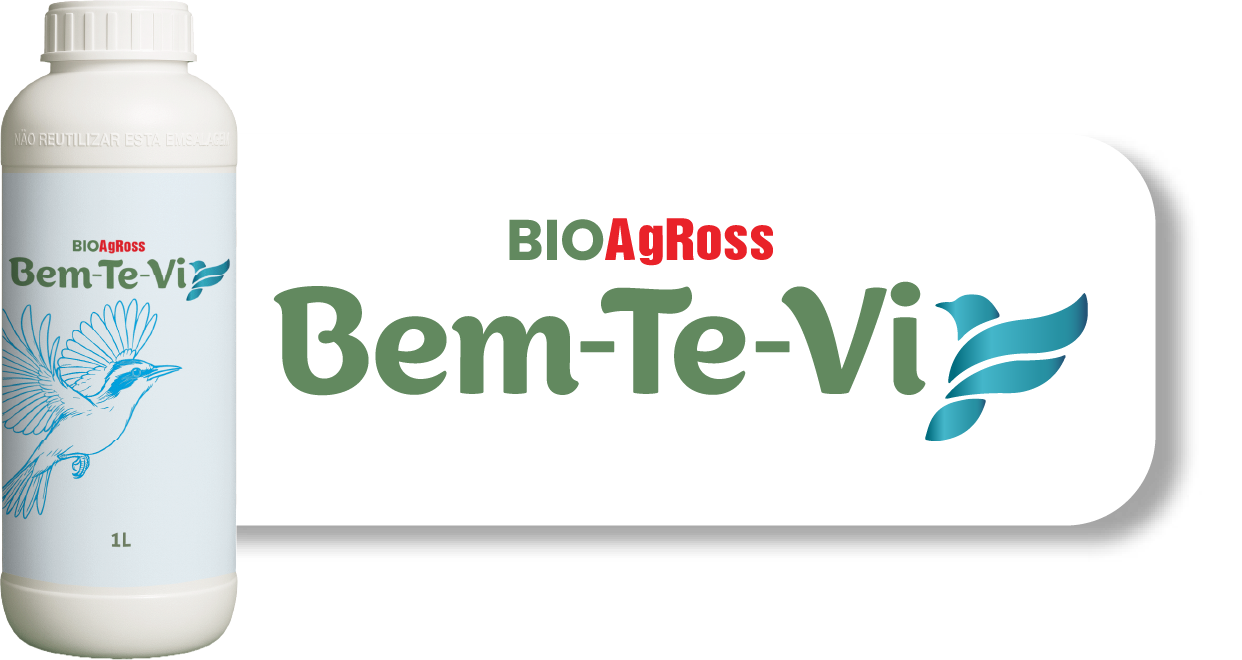 Bem-Te-Vi