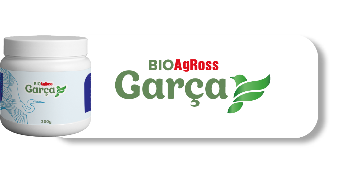 Garça