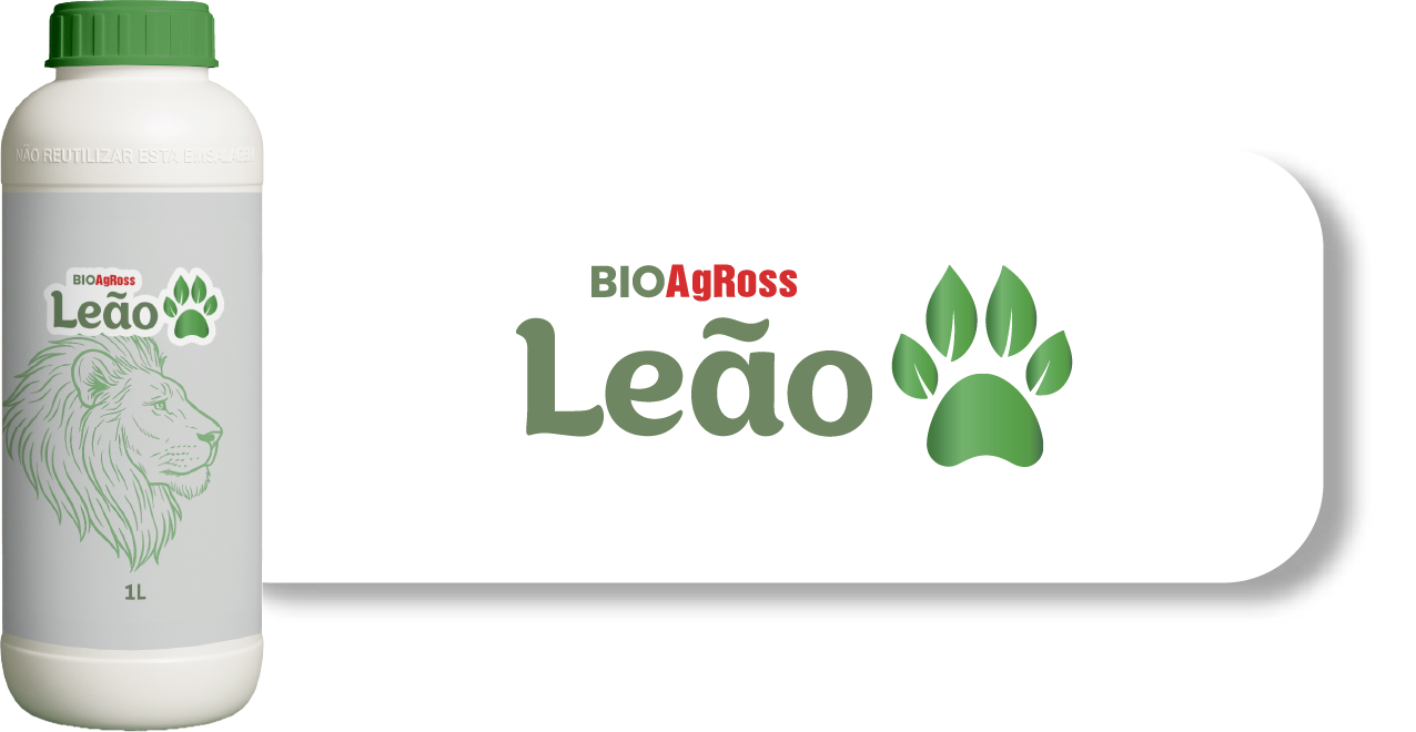 Leão