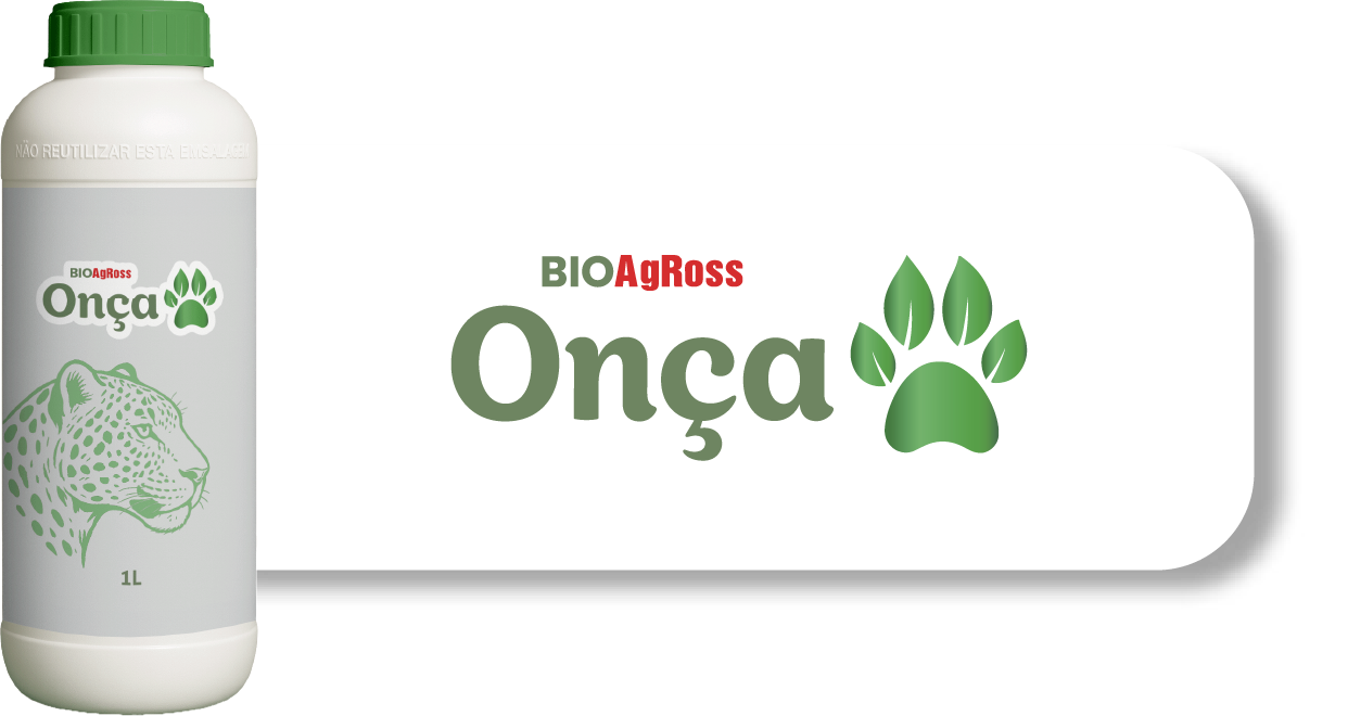 Onça
