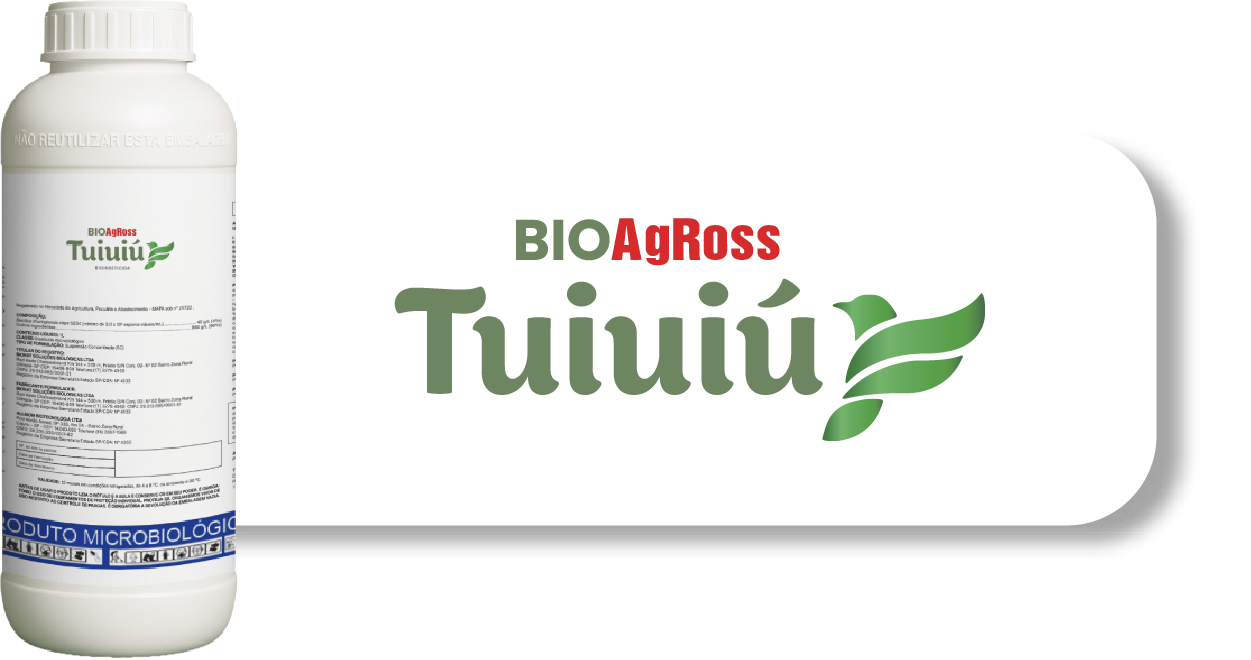 Tuiuiú