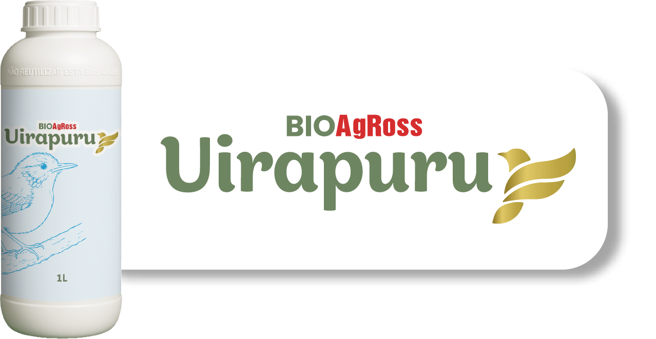 Uirapuru